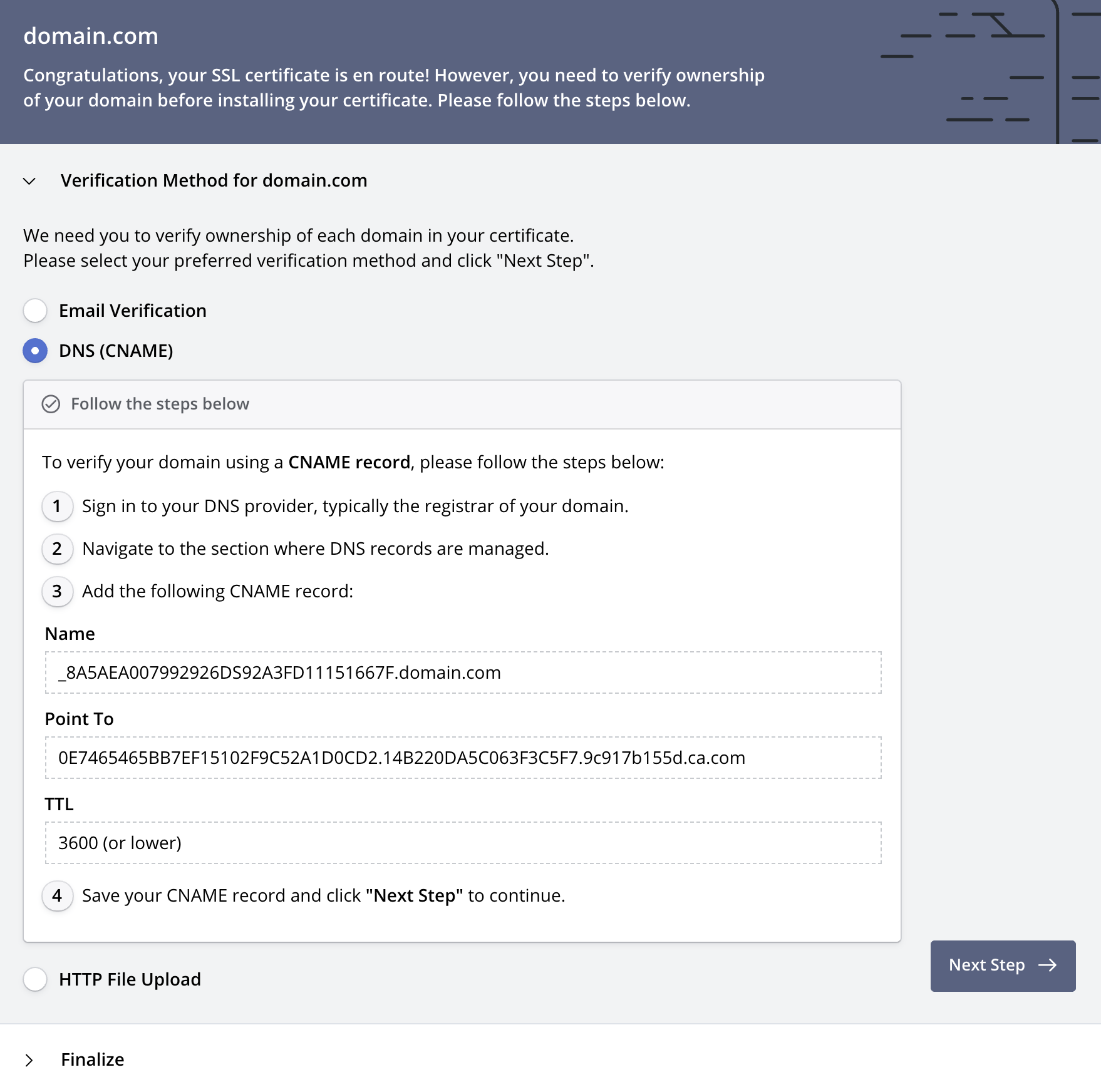 Verify Domains: DNS (CNAME)